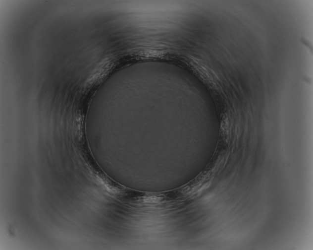 X0000091710462200709210945