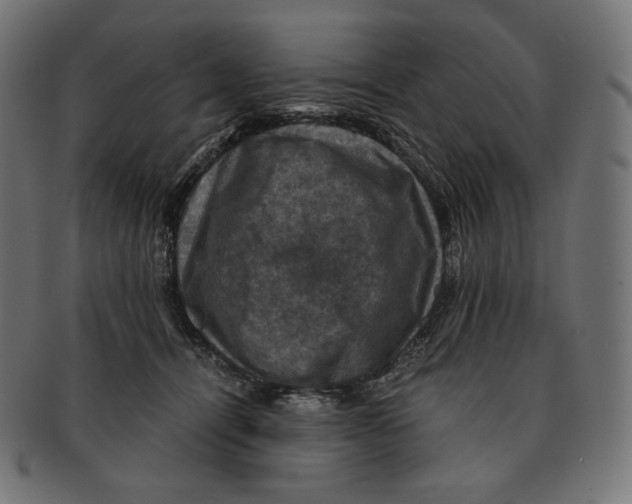 X0000091710464200709210945