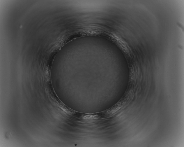 X0000091710465200709210945