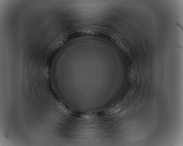 X0000091710466200709210945