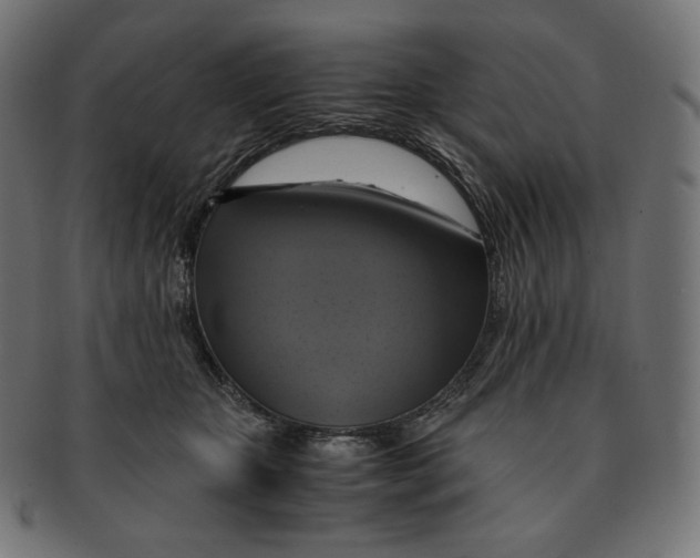 X0000091710467200709210945