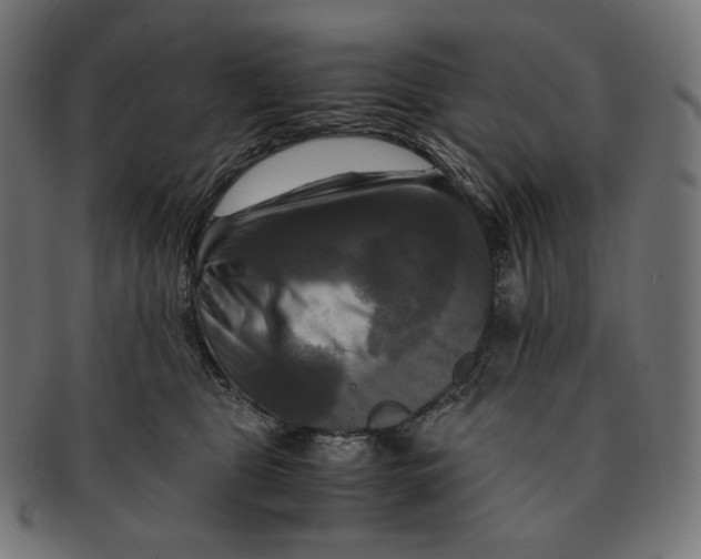 X0000091710469200709210945