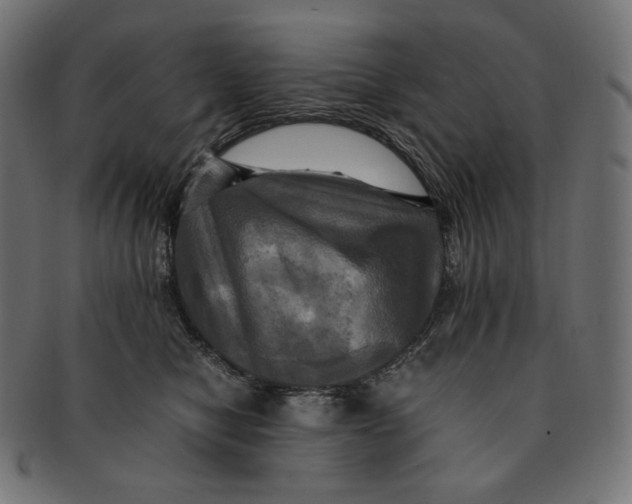 X0000091710470200709210945