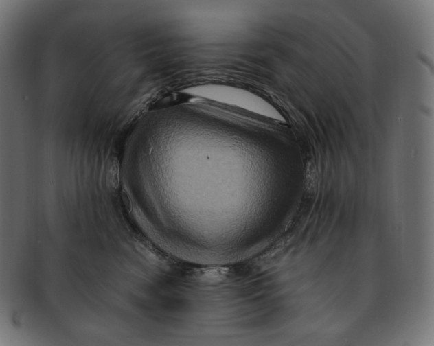 X0000091710474200709210945