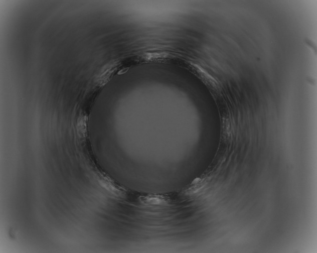 X0000091710475200709210945