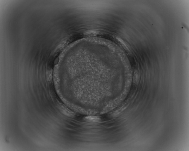 X0000091710477200709210945