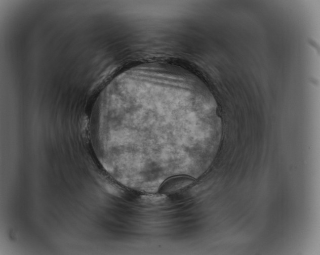 X0000091710480200709210945