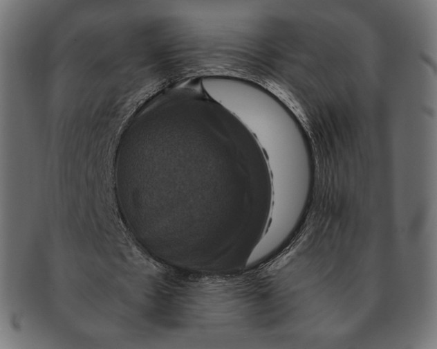 X0000091710481200709210944