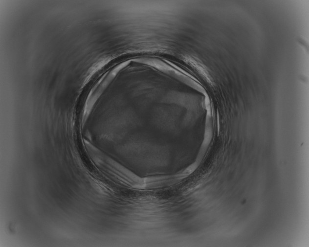 X0000091710483200709210944