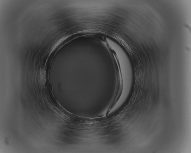 X0000091710484200709210944