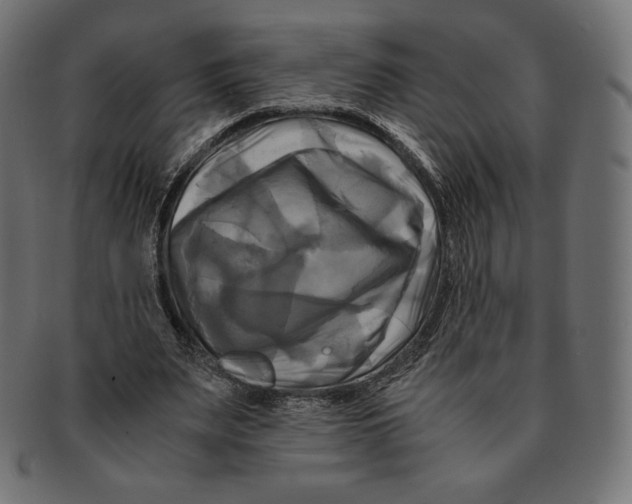 X0000091710487200709210944