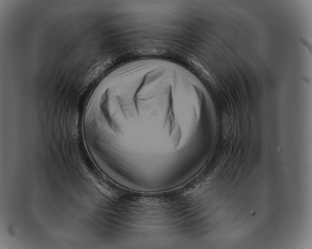 X0000091710490200709210944