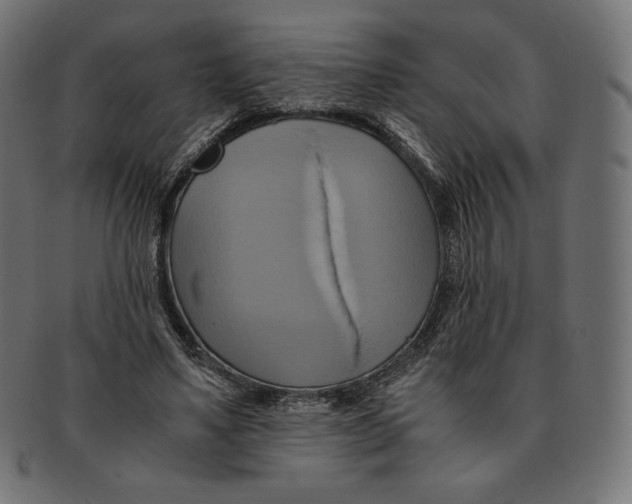 X0000091710491200709210944