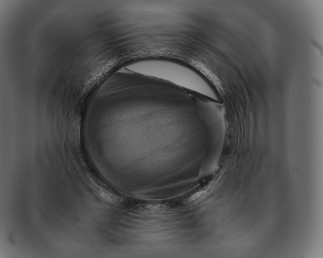 X0000091710493200709210944