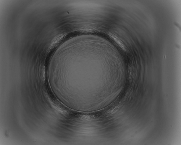 X0000091710494200709210944