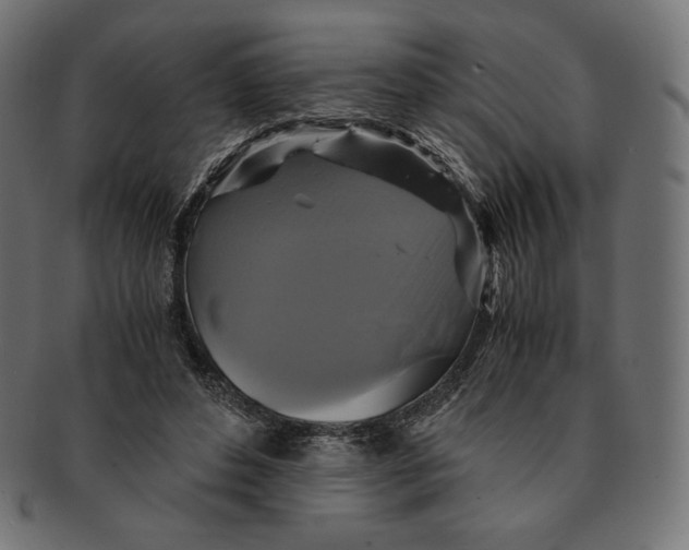 X0000091710496200709210944