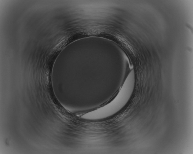 X0000091710501200709210944