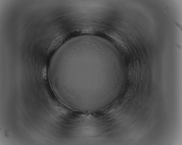 X0000091710502200709210944