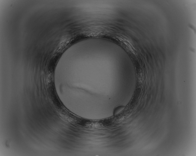 X0000091710503200709210944