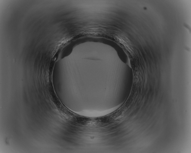 X0000091710504200709210944