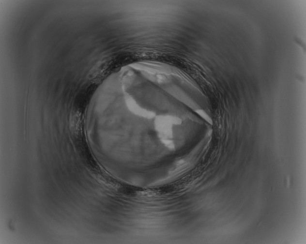 X0000091710511200709210944