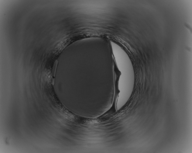 X0000091710513200709210944