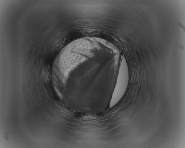 X0000091710515200709210944