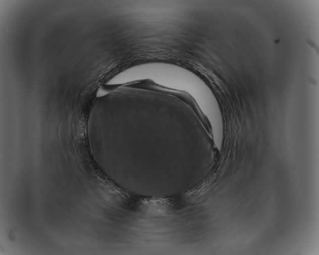 X0000091710517200709210944