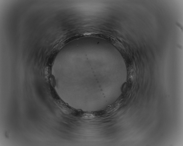 X0000091710519200709210944