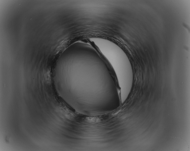 X0000091710520200709210944