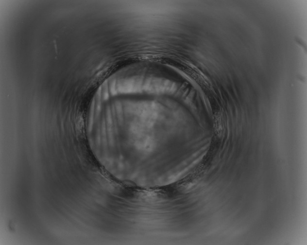 X0000091710523200709210944