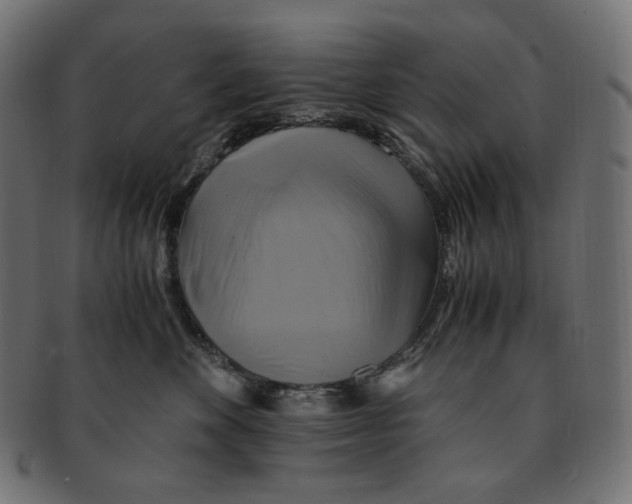 X0000091710524200709210944