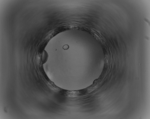 X0000091710527200709210944