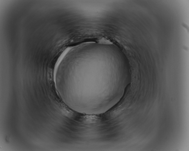 X0000091710528200709210944