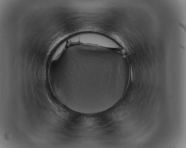 X0000091710531200709210943