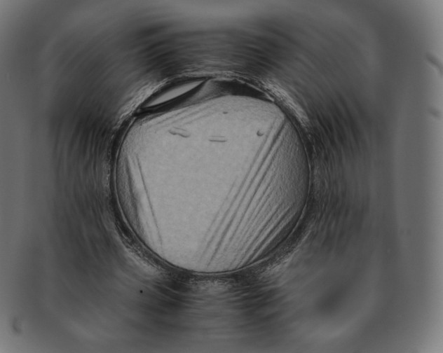 X0000091710533200709210943