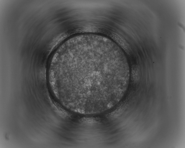 X0000091710534200709210943