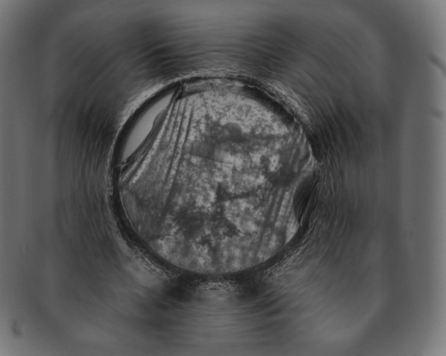 X0000091710536200709210943