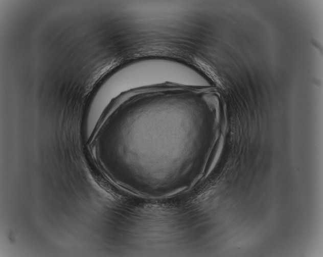 X0000091710538200709210943