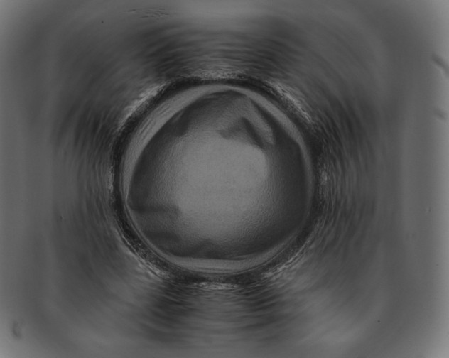 X0000091710539200709210943