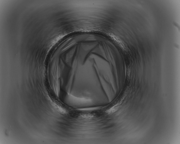 X0000091710540200709210943