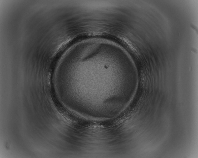 X0000091710543200709210943