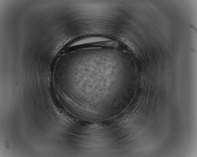 X0000091710544200709210943