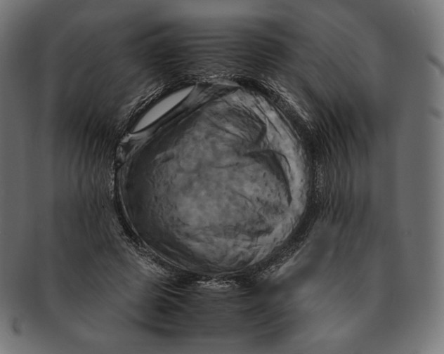 X0000091710545200709210943