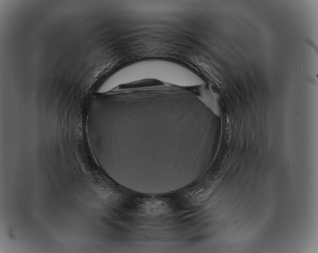 X0000091710547200709210943