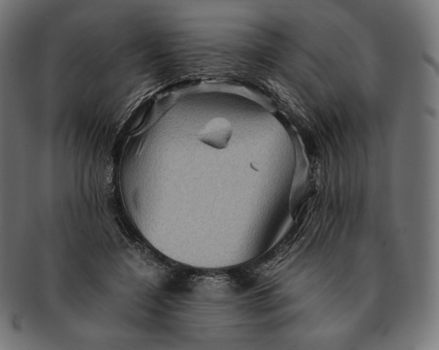 X0000091710548200709210943