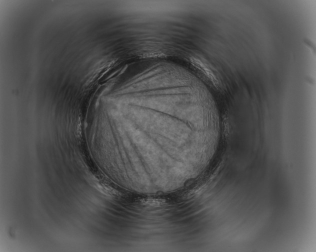 X0000091710549200709210943