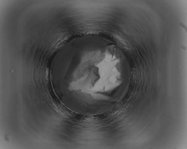 X0000091710550200709210943