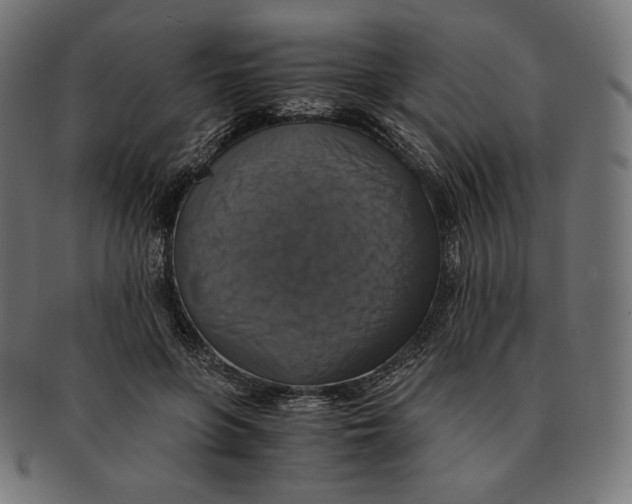 X0000091710551200709210943