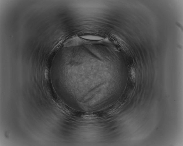 X0000091710556200709210944